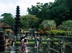 tour packages bali driver